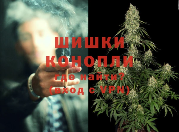2c-b Пестово