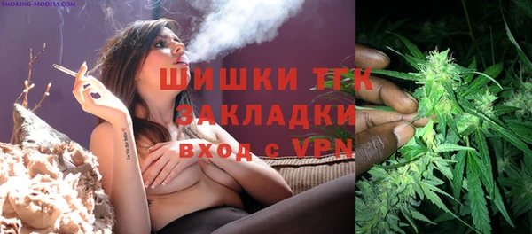 тгк Володарск