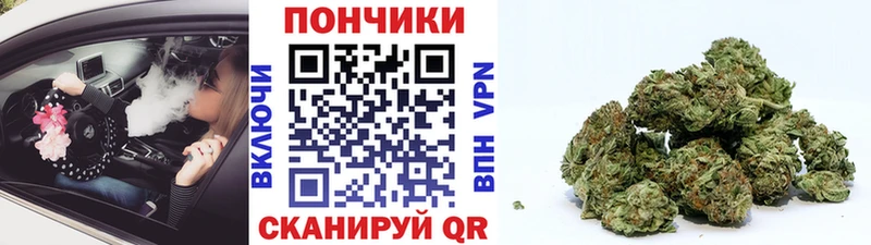 Купить где  Катав-Ивановск  Бошки марихуана LSD WEED 